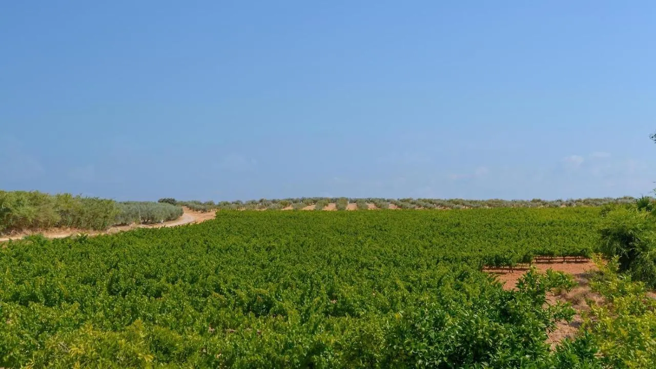 Holiday home Finca Buytron Montilla By Ruralidays